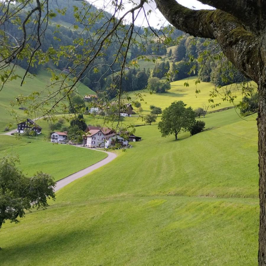 Dom Wiejski Artur Goldingen Exteriér fotografie