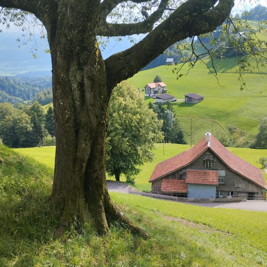 Dom Wiejski Artur Goldingen Exteriér fotografie